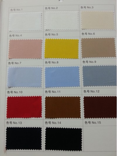 GZ- LEEN  58531 正面照